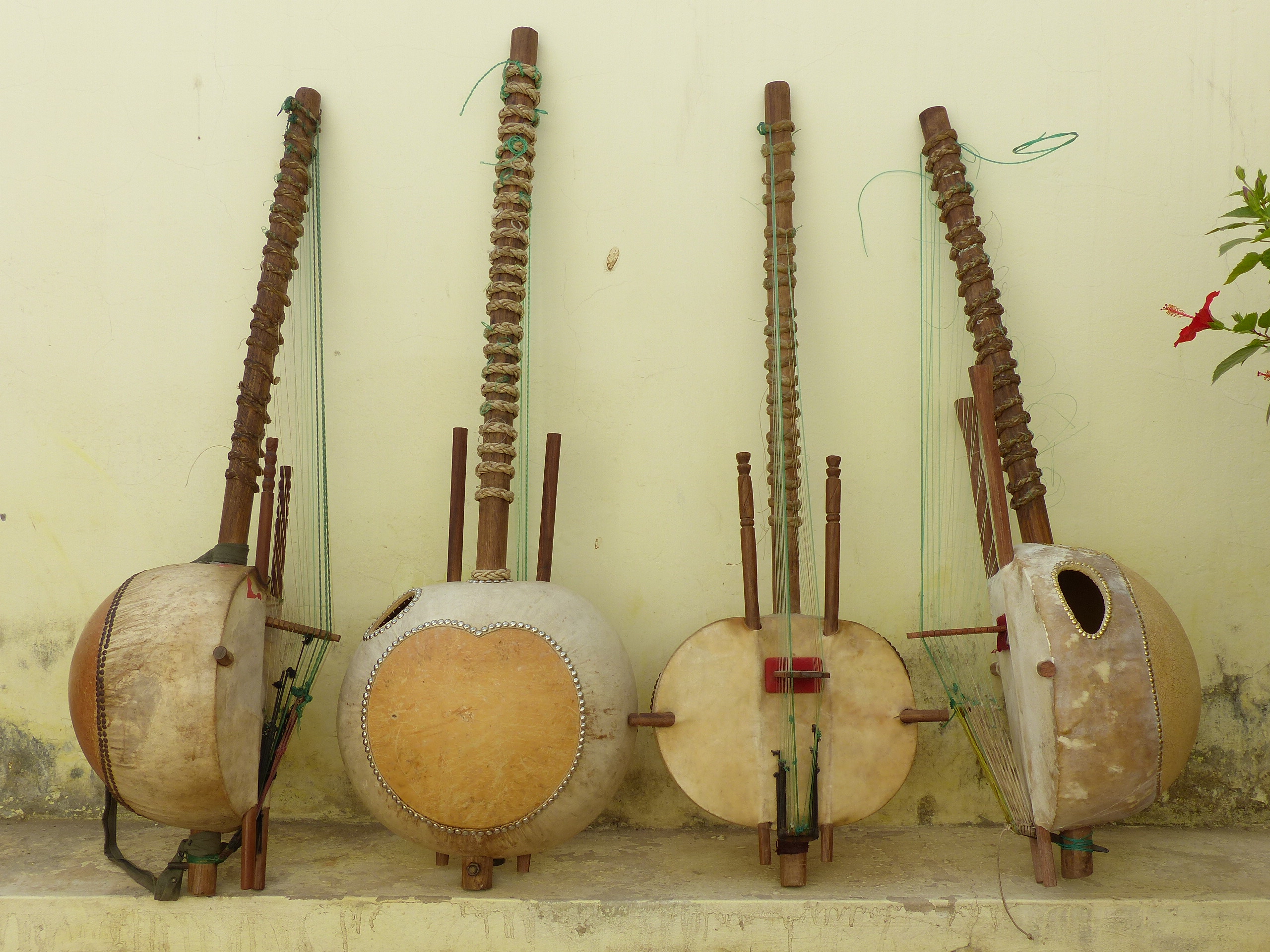 Viola Tradicional